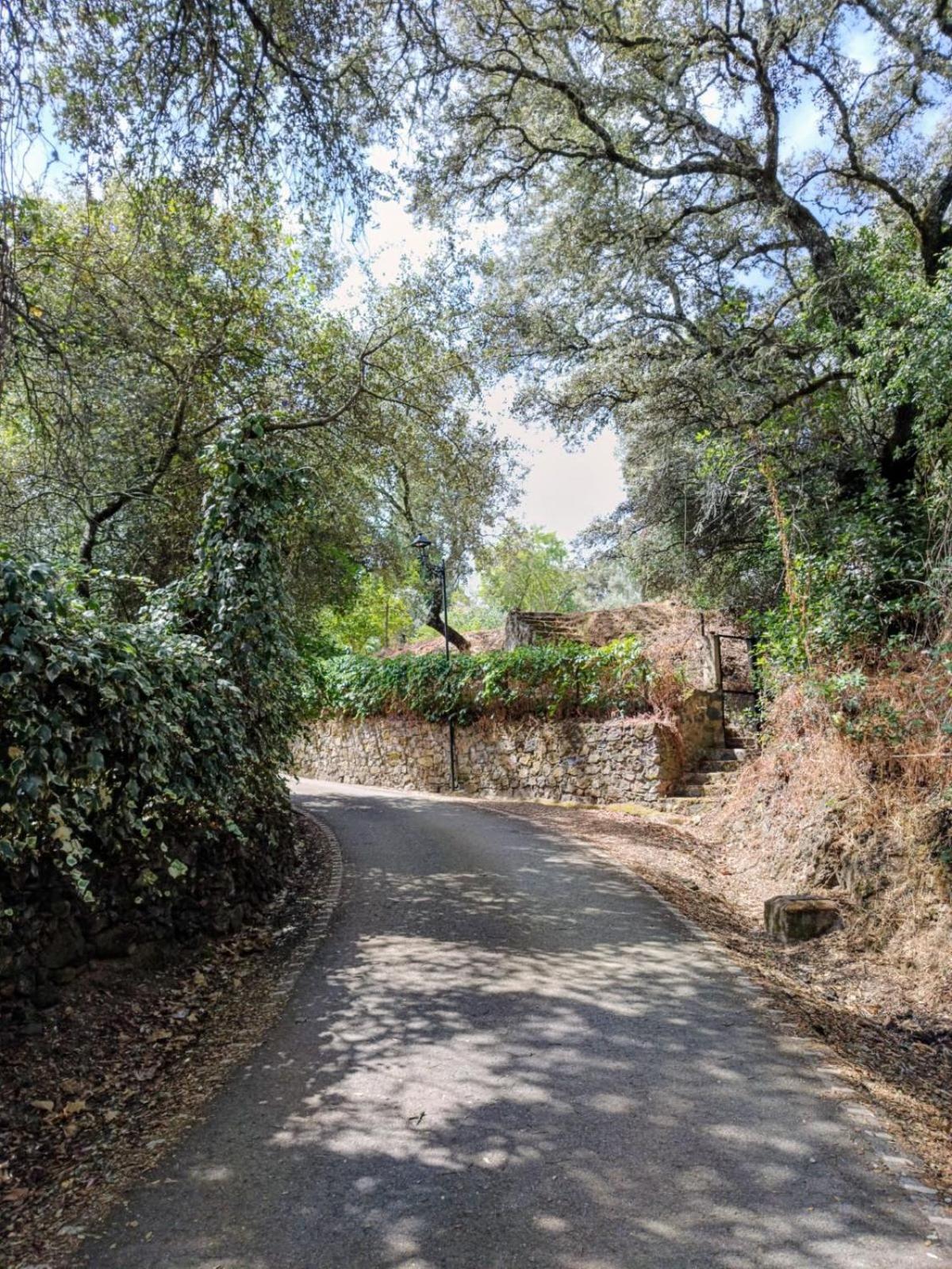 Casa Rural El Olivo Аракена Екстериор снимка