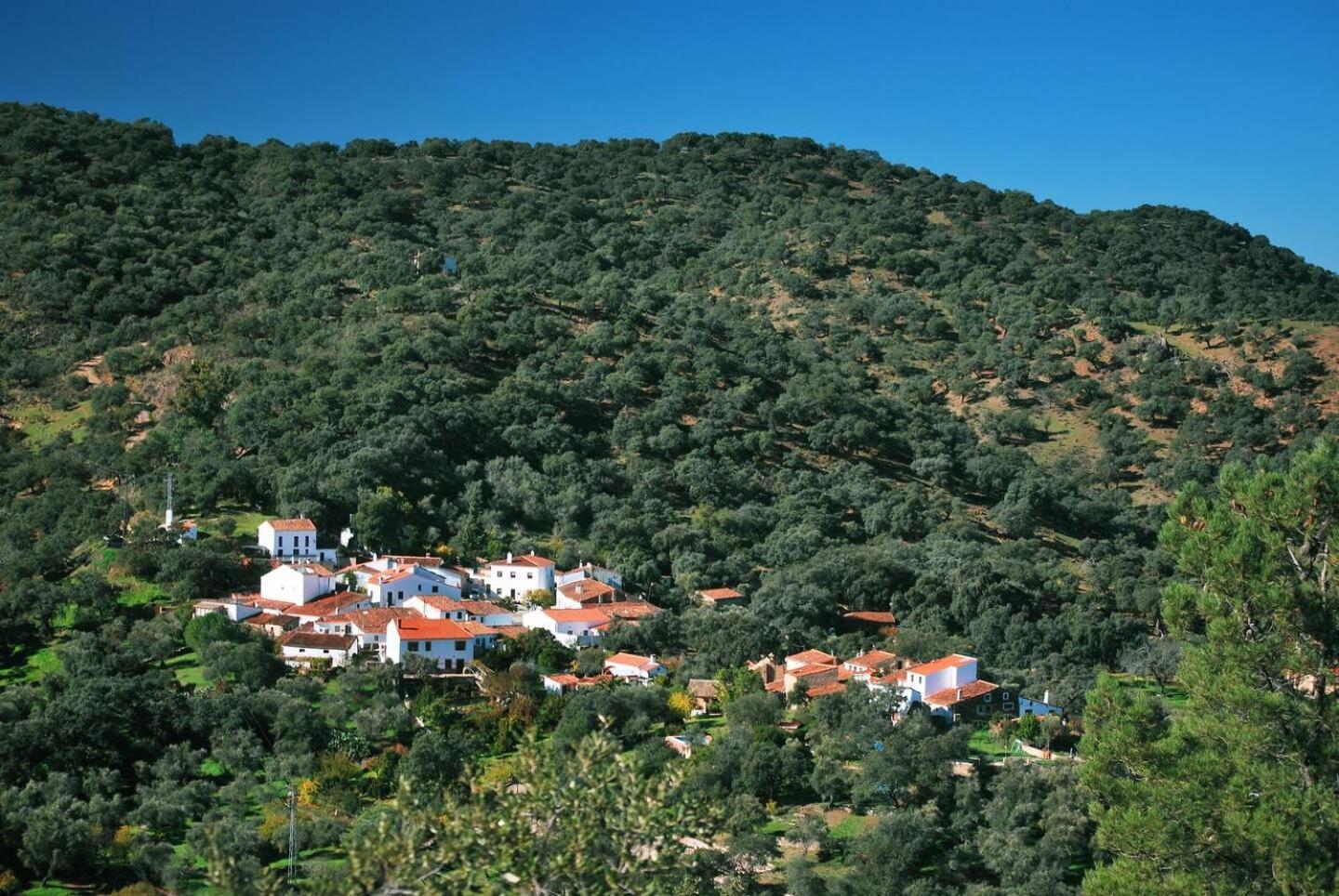 Casa Rural El Olivo Аракена Екстериор снимка